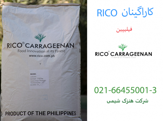 contents_tab/rico-henzak-bag-31734155607.png