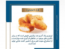 آنزیم ضد میکروبی لیزوزیم