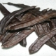 جانشین پودر کاکائو Carob